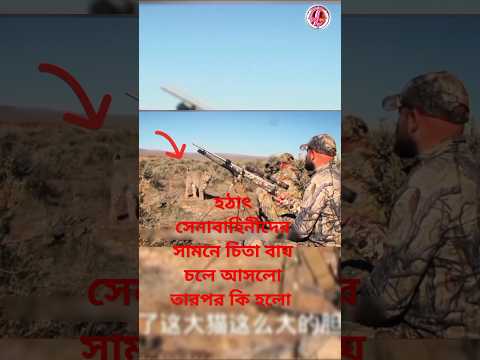 সেনাবাহিনীদের সামনে হঠাৎ চিতাবাঘ চলে এলো তার পর কি হলো। 😮new explain video. 2024