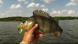 видео