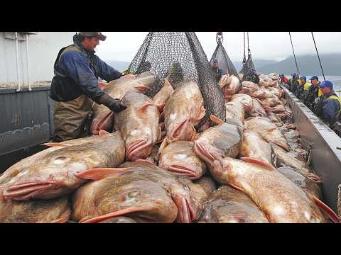 Fishermen's Journey To Catch Millions Of Tons Of Fish In The Middle Of The Distant Ocean