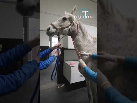 Que se passe-t’il dans cette vidéo?