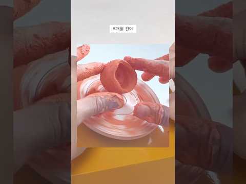 망한 미니물레... 그 후 6개월 뒤🔥
