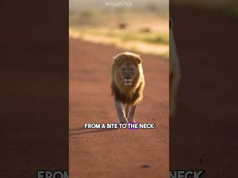 Fascinating Animal Facts That Will Expand Your Knowledge!