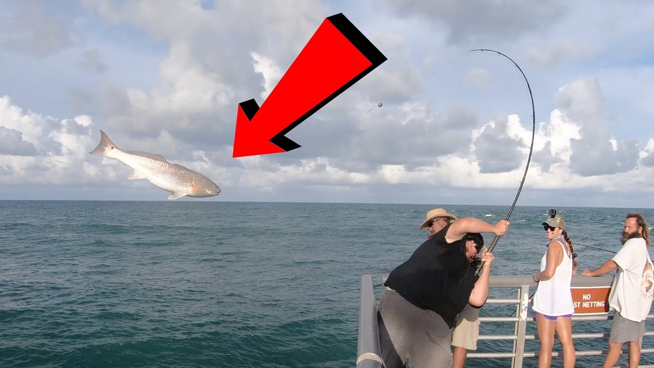Pulling HUGE ZOMBIE Fish Onto Jetty!