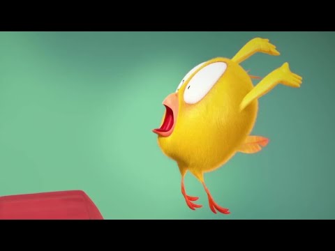 Chicky does acrobatics | Where's Chicky? | Cartoon Collection in English for Kids | New episodes