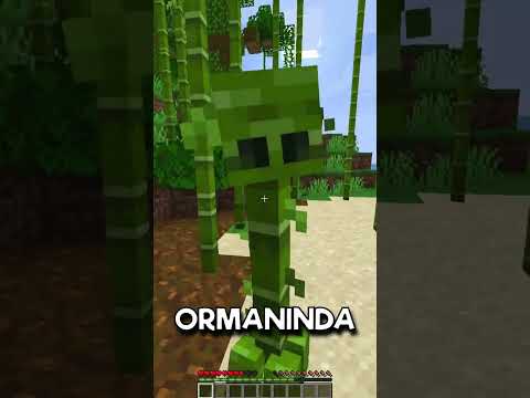 Minecraft'a Yeni Gelen Creeperlar!