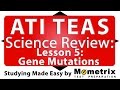 Genetic Mutations and Their Effects