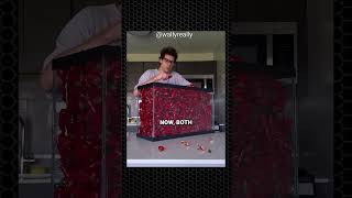 He Got Hundreds of Millions of Views Eating the Impossible — Then Disappeared