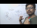 DNA Replication Concepts and Mechanisms