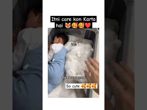 wow so cute ?#care #shortoftheday  #love ?#petlover #youtubeshorts #short #viral