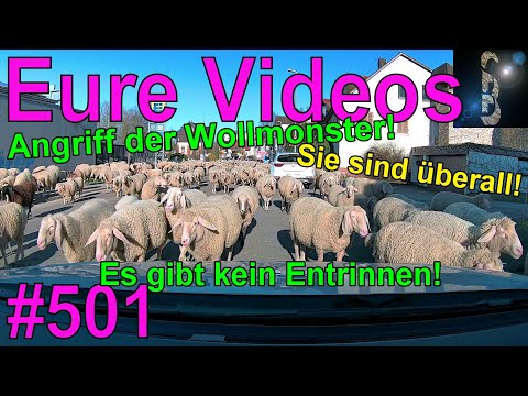 Eure Videos #501 - Eure Dashcamvideoeinsendungen #Dashcam