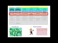 Characteristics of Autotrophs and Heterotrophs