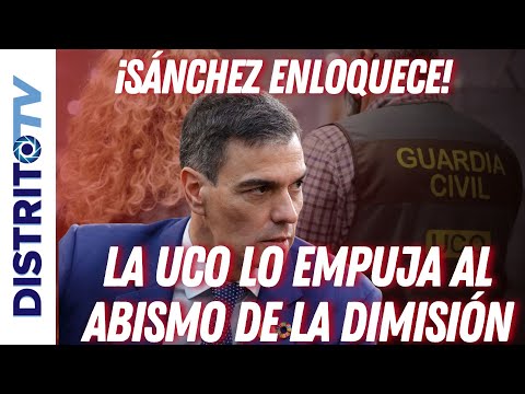 🔴¡SÁNCHEZ ENLOQUECIDO!🔴 EL NUEVO INFORME DE LA UCO LO EMPUJA AL ABISMO DE LA DIMISIÓN