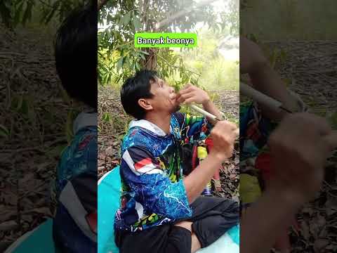 #sulingsakti #burung #burungkicaudialamliar #pikatbeo #birds
