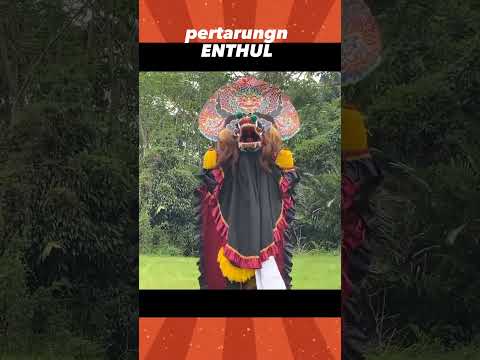 bopo entul versi gam gam piara #gwsm #gwsmterbaru #santerofficial #garudawisnusatriamuda