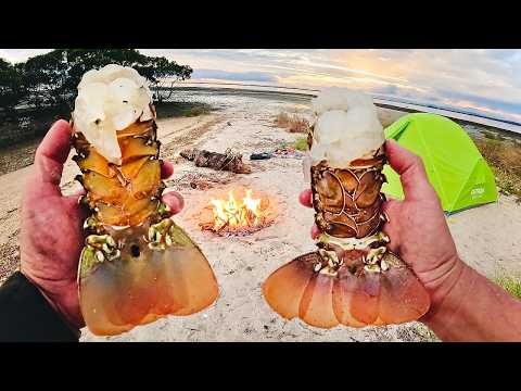 Crayfish Island Camping - Catch And Cook