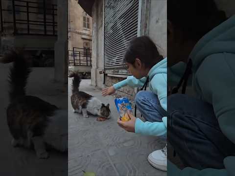 القطة عضت أميرة #اماني_فاميلي #أمورة #فاميلي