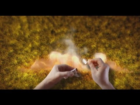 Видео ролик «Не жги сухую траву»