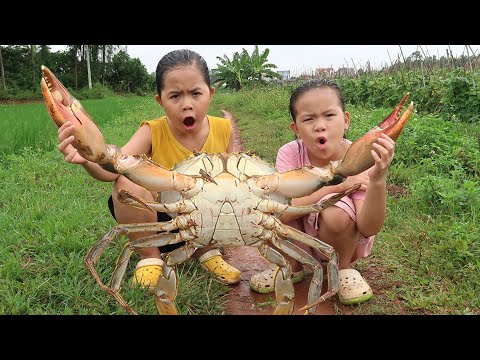 Lộc TiVi ĂN DƯA CHUỘT Bắt Được Cua Khổng Lồ Về Nấu Ăn Ngon Lành