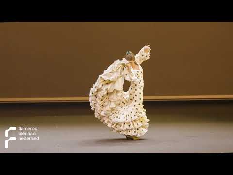 VIVA! | Manuel Liñán Compañía | IX Flamenco Biënnale 2023