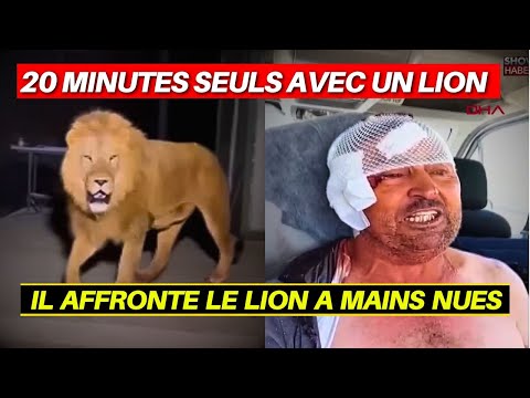 🦁 Un LION en LIBERTÉ attaque un COUPLE en pleine nuit 😱 Ce qu’a fait cet HOMME va vous CHOQUER…