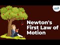 Exploring Newton's First Law of Motion