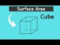 Surface Area and Properties of Cubes