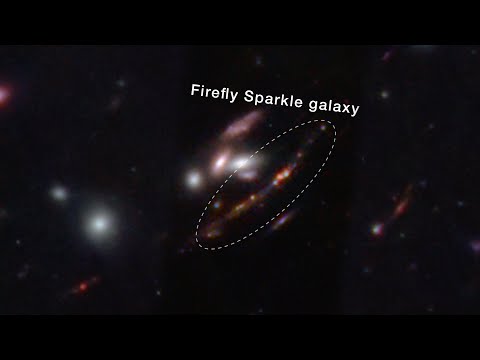 James Webb Space Telescope captures the ancient 'Firefly Sparkle' galaxy,