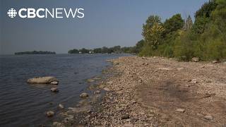 Low water levels in the St. Lawrence River affecting safety, the environment and even the economy