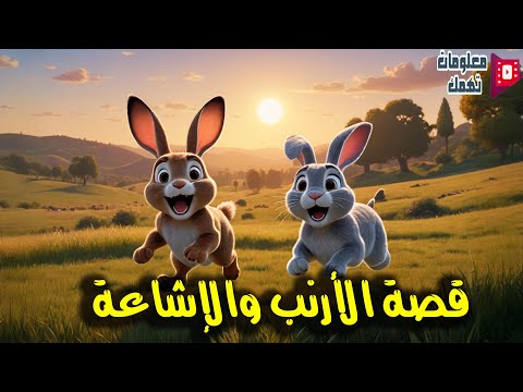 قصة الأرنب والإشاعة