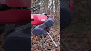 What if evolution was metal? #shorts