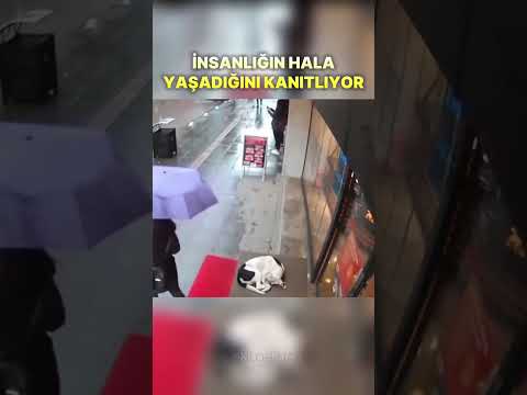 İnsanlığın hala yaşadığını kanıtlıyor
