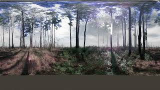 Fort Stewart - Terrestrial Lidar - Pre Burn