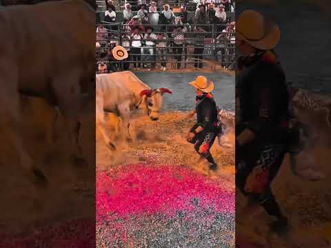 NADA BIEN LE FUE AL CHOMPAS ??