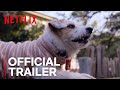 Understanding the Role of Dogs in Human Lives