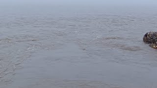 today live darshan high level water Haridwar