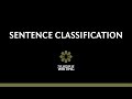 Exploring Sentence Classification: Types and Structures