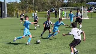 2026 U12: Northern Tigers vs Hakoah (Game 2)