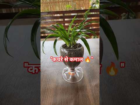 Plastic Bottle Hack 😱 कचरे से बना शानदार गमला 🌱 #shorts #viral #facts
