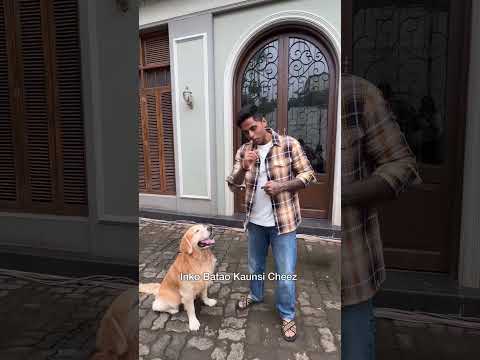 ๐ฃ๏ธ Jab Surya Dada met Dogesh Bhow ๐ถ๐| #MumbaiIndians