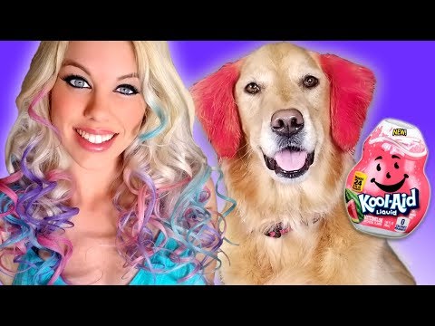 4 Easy Ways to Temporary Color Your Hair & Your Dog’s!  Quick DIY Hacks for Your Hair!