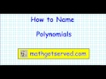 Exploring Polynomial Naming and Types