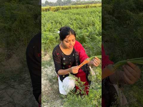 মুলো চুরি করতে এসে ধরা পড়ে গেলাম....🥺🥲 #shortvideo #minivlog #new
