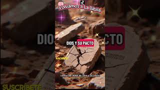 153 Naciones Firmaron a Favor de Palestina.