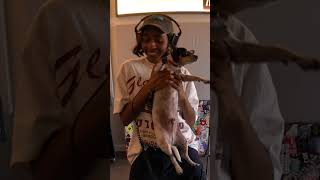 Ayo Edebiri (& Gromit) in the mix