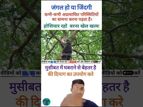 "जब भालू बन गया विलेन! 🐻🔥 | Cocaine Bear Funny Scene | #Shorts #bear @Realyt76 "
