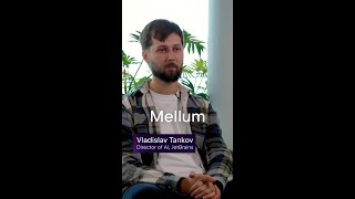 AI Q&A: LLM Mellum