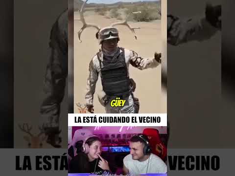 Los mexicanos son puro desmadre JAJJAJ 🇲🇽