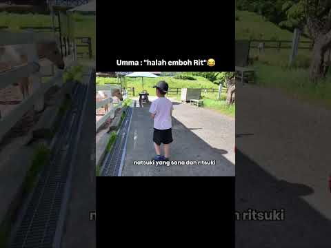 โmaaf ya kudaku adik mau kasih makanโ gemes banget Rit kudanya ada giginya kalo gak ada ompong๐คฃ