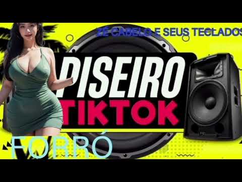 Forrozinho Hits as melhores do Tik Tok melhores do YouTube Forró e piseiro Zé Cabelo e Seus Teclados