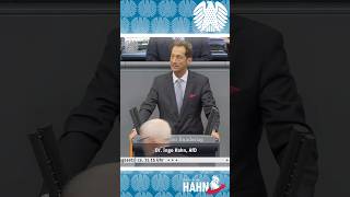 Gesetzentwürfe der AfD #afd #ingohahn #bundestag #rede #gesetzesentwürfe #gesetz